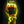 G-Shock x J Balvin DWE-5600JB-1A9