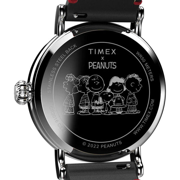 Timex Standard Peanuts Snoopy TW2V61100