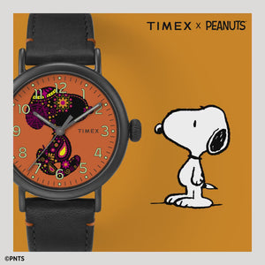 Timex Standard Peanuts Snoopy Watch TW2V60800