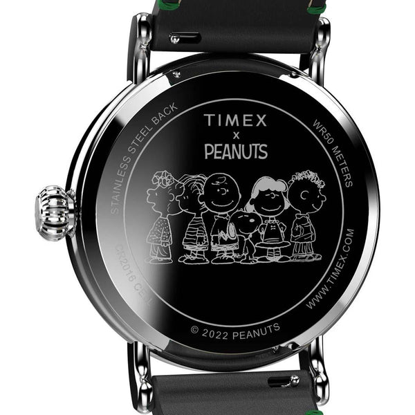 Timex Standard Peanuts Snoopy Winter Watch TW2V60700